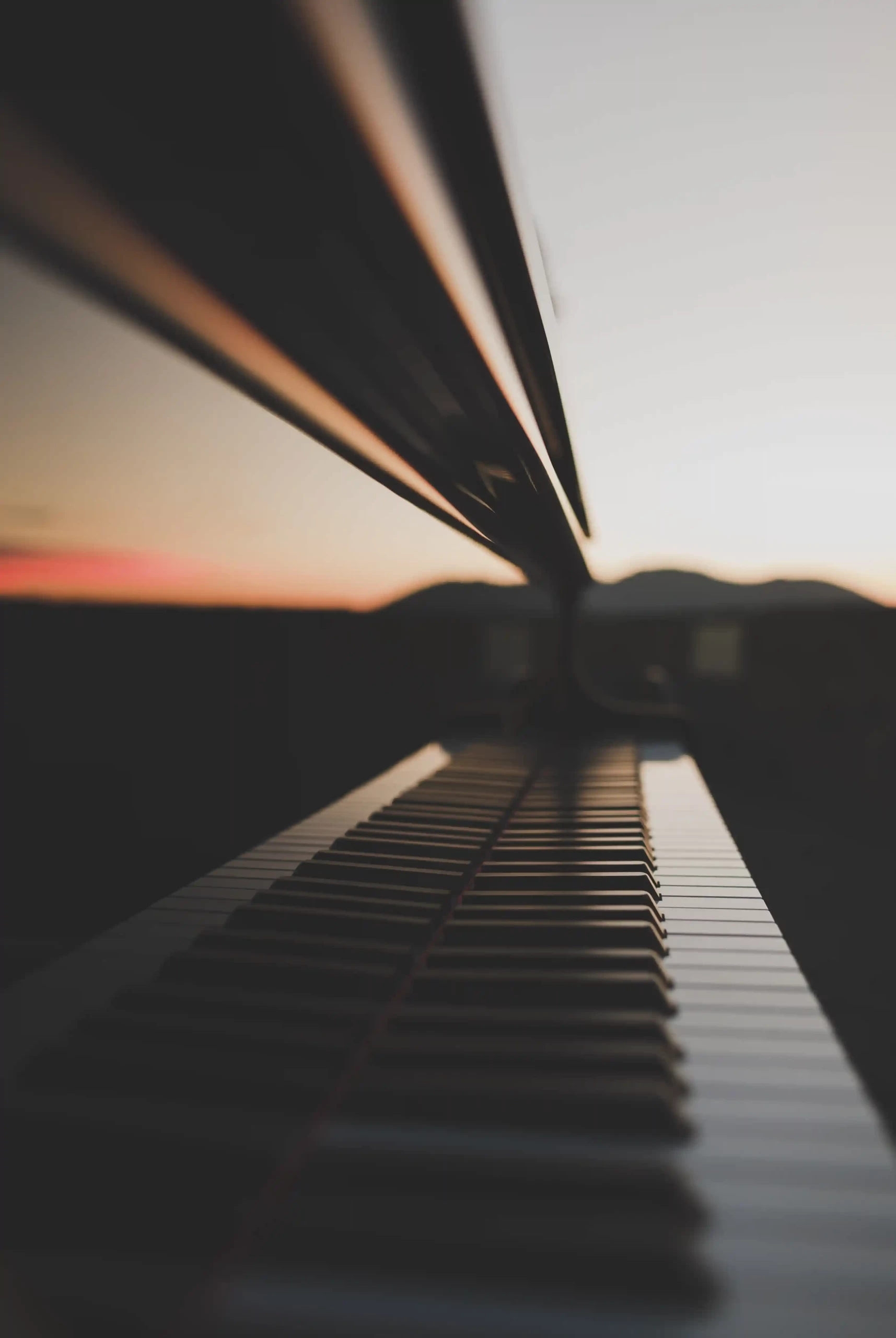 terrazzo-castello-aragonese-ischia-arte-cultura-piano-ulivi-sera